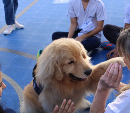 ONG oferece terapia com cães na véspera de provas para os alunos do Colégio Santa Amália.
