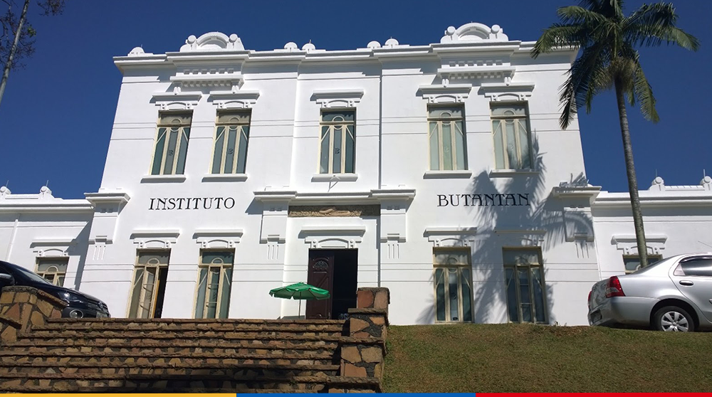 Instituto Butantan: da serpente ao Coronavírus