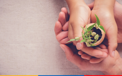 ECOFEST: um festival de projetos sobre sustentabilidade que ensina além dos muros do colégio