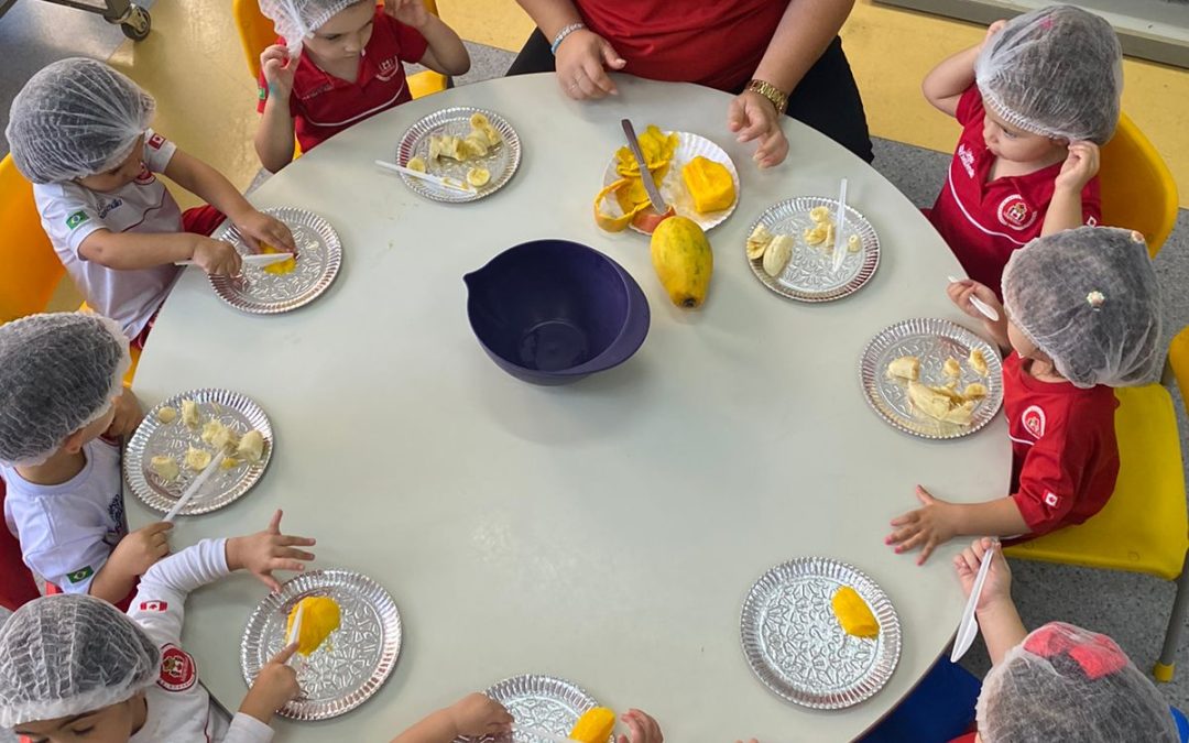 Sabor de aprendizado: Colégios Santa Amália Saúde e Maple Bear Tatuapé promovem aulas de educação nutricional.
