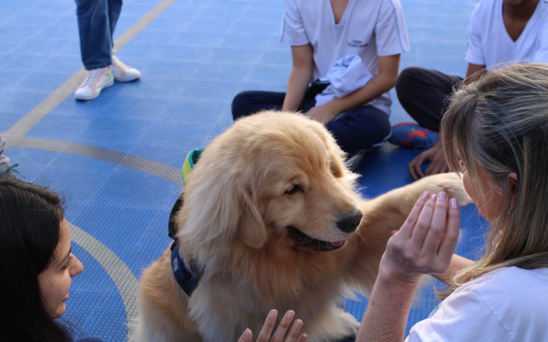ONG oferece terapia com cães na véspera de provas para os alunos do Colégio Santa Amália.