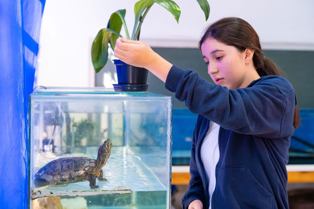 Foto: Aluna alimentando tartaruga em aquário