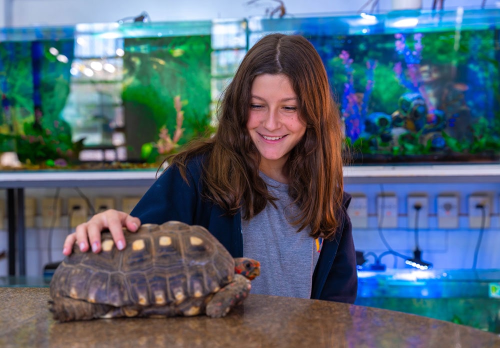 Foto: Aluna fazendo carinho em tartaruga