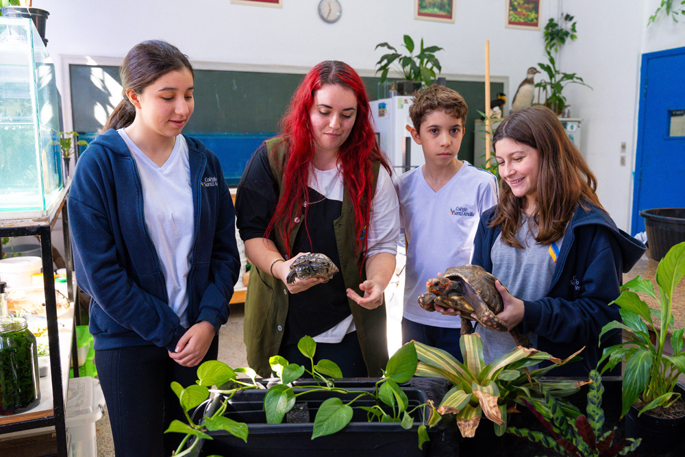 Ensino Fundamental 2 - A autonomia dos estudos